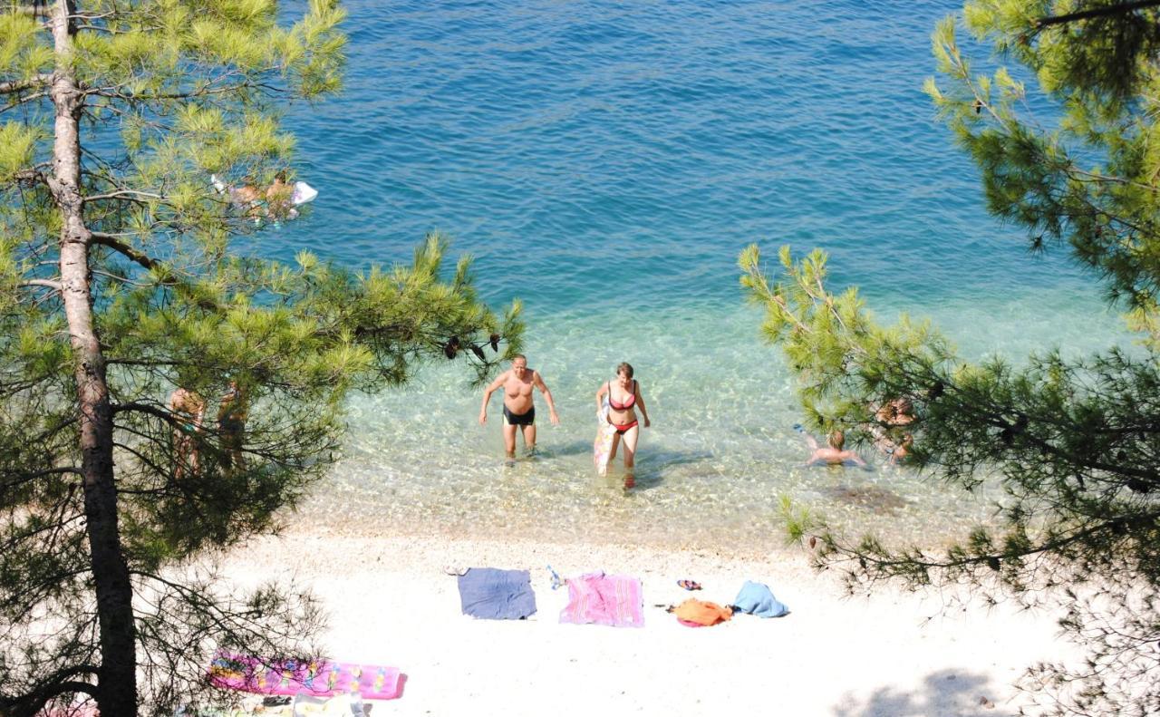 Summer Residence Near The Sea Donji Okrug  ภายนอก รูปภาพ